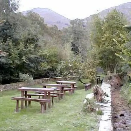 酒店 本祖雅酒店 2*