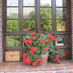 Benzua Ξενοδοχείο Villanueva de Ardisana