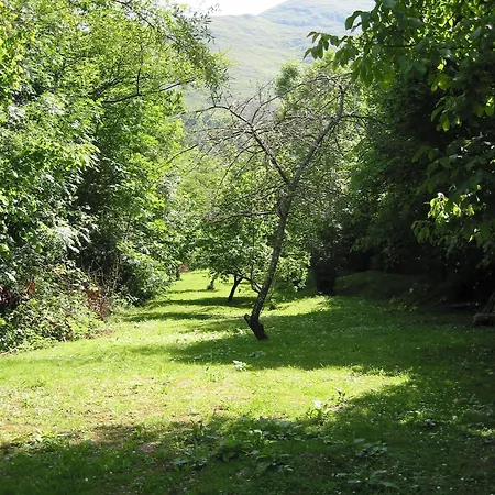 Benzua 2*